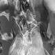 doccia doccia