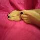 Piedi Piedi