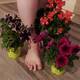 Private Photo of MissFeet66 Private Photo of MissFeet66