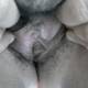 Foto privata di gattinasex Foto privata di gattinasex