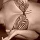 tigre.. tigre..
