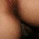 eccomiii eccomiii